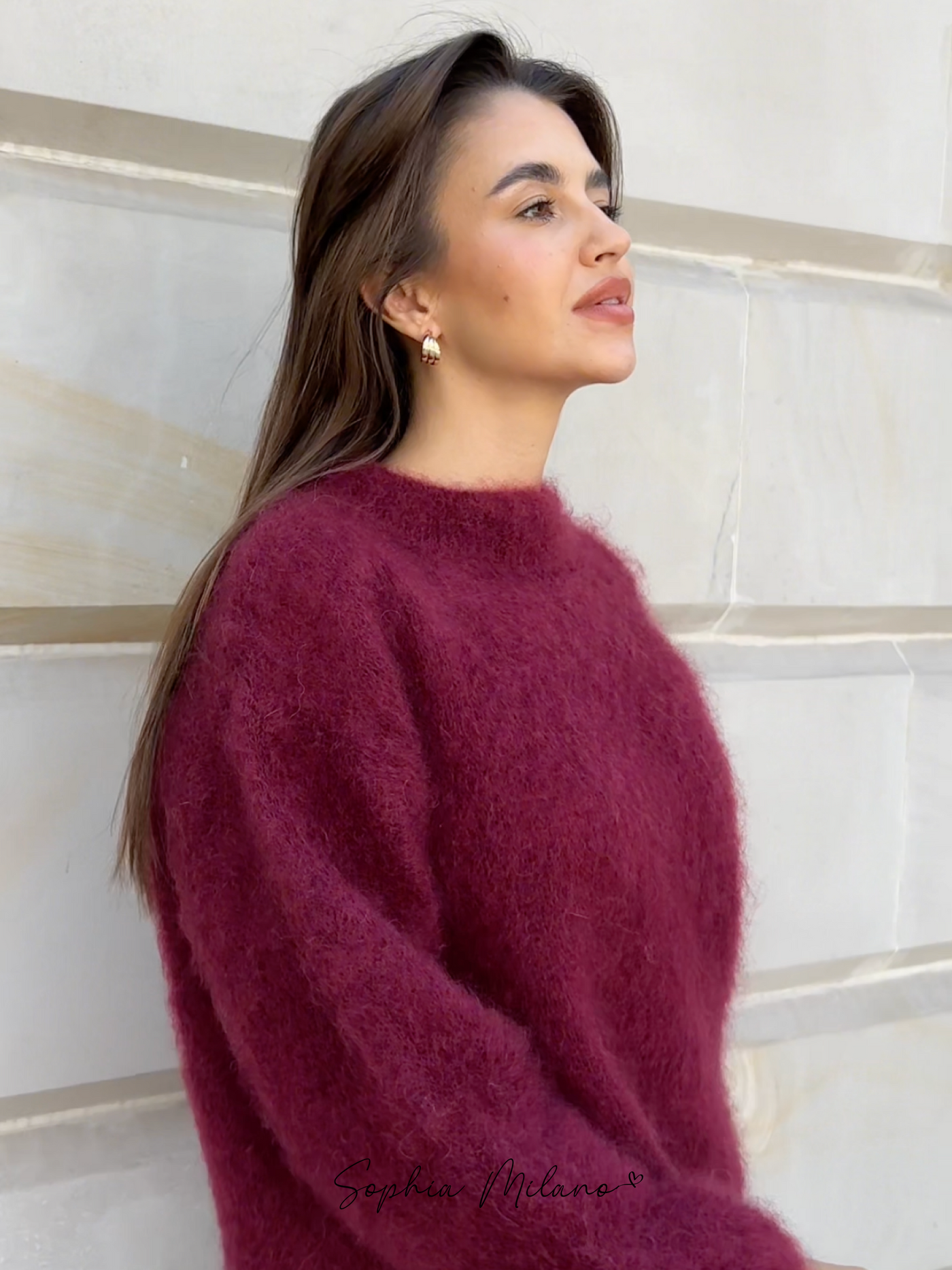 Sophia Mohair Rollkragenpullover