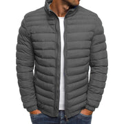 Aldwin | Herren Leichte Steppjacke Stehkragen – Grau