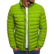 Aldwin | Herren Leichte Steppjacke Stehkragen – Grasgrün