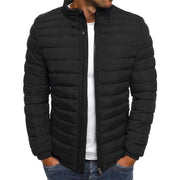 Aldwin | Herren Leichte Steppjacke Stehkragen – Schwarz